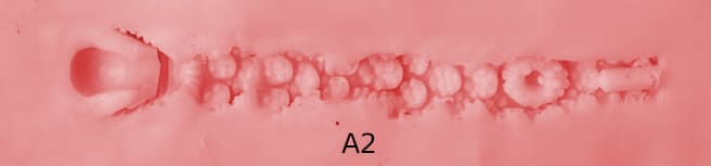 #2